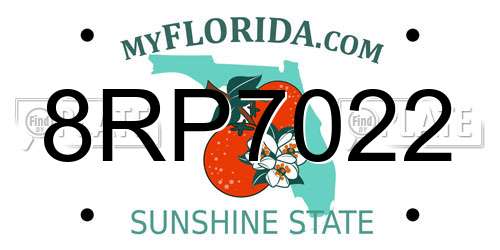 8RP7022 Florida License Plate
