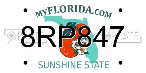 8RP847 Florida License Plate