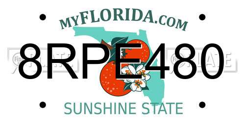 8RPE480 Florida License Plate