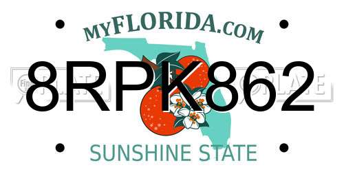 8RPK862 Florida License Plate