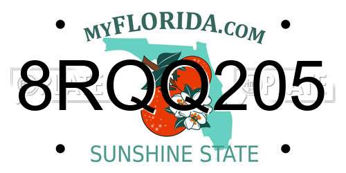 8RQQ205 Florida License Plate