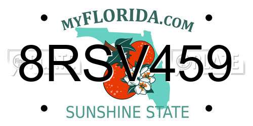 8RSV459 Florida License Plate