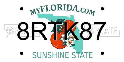 8RTK87 Florida License Plate