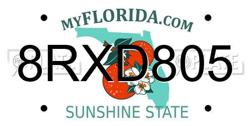 8RXD805 Florida License Plate