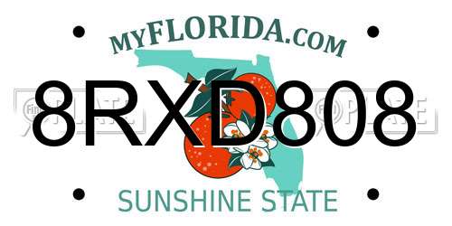 8RXD808 Florida License Plate