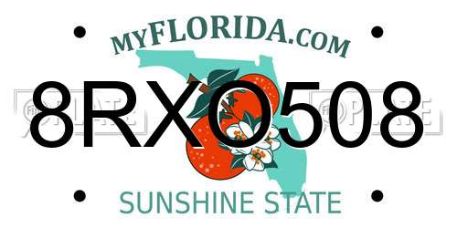 8RXO508 Florida License Plate