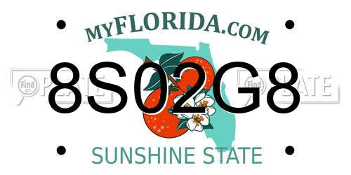 8S02G8 Florida License Plate