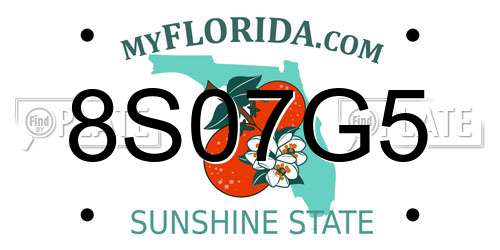 8S07G5 Florida License Plate