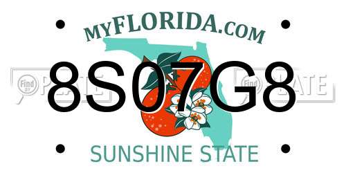 8S07G8 Florida License Plate