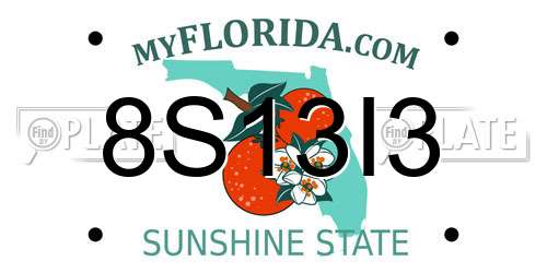 8S13I3 Florida License Plate