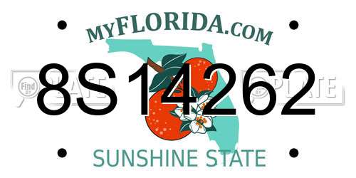 8S14262 Florida License Plate