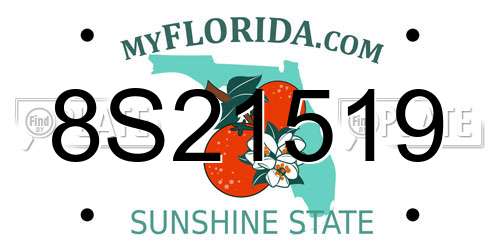 8S21519 Florida License Plate