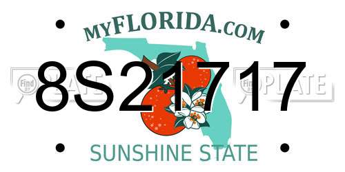 8S21717 Florida License Plate