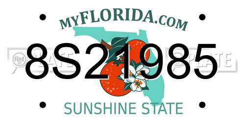 8S21985 Florida License Plate