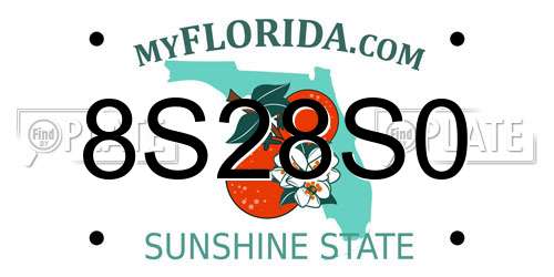 8S28S0 Florida License Plate