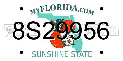 8S29956 Florida License Plate