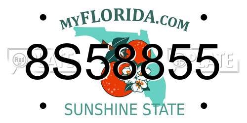 8S58855 Florida License Plate