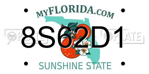 8S62D1 Florida License Plate