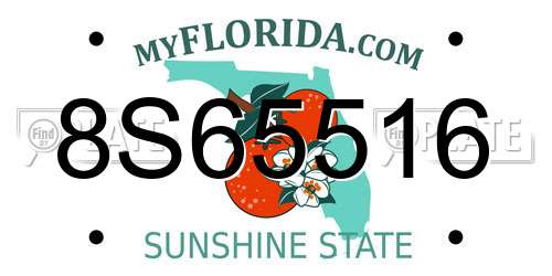 8S65516 Florida License Plate