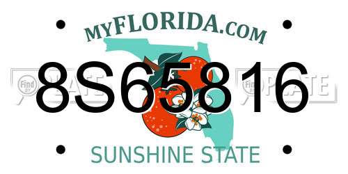 8S65816 Florida License Plate