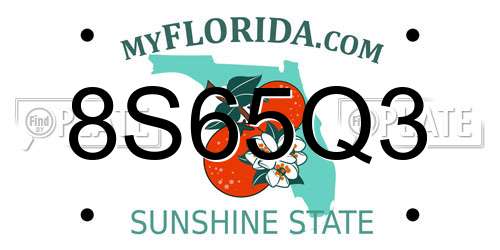8S65Q3 Florida License Plate