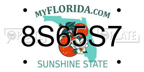 8S65S7 Florida License Plate
