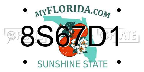 8S67D1 Florida License Plate