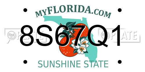 8S67Q1 Florida License Plate