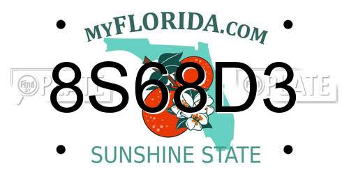 8S68D3 Florida License Plate