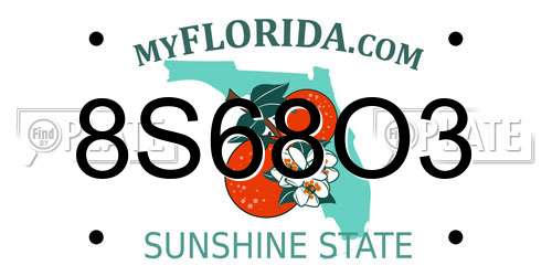 8S68O3 Florida License Plate