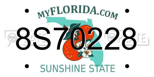 8S70228 Florida License Plate