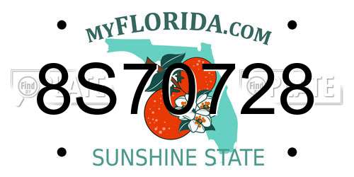8S70728 Florida License Plate