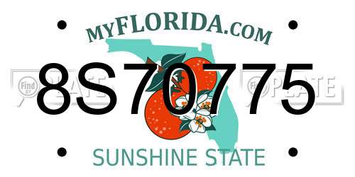 8S70775 Florida License Plate