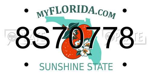 8S70778 Florida License Plate