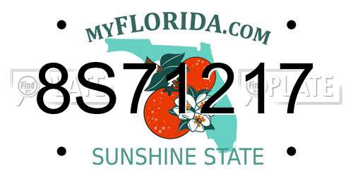 8S71217 Florida License Plate