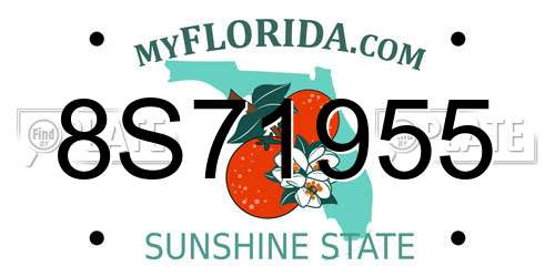 8S71955 Florida License Plate
