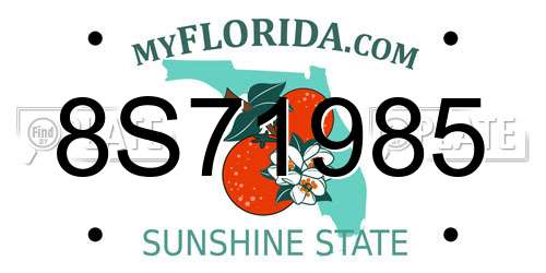 8S71985 Florida License Plate