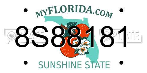 8S88181 Florida License Plate