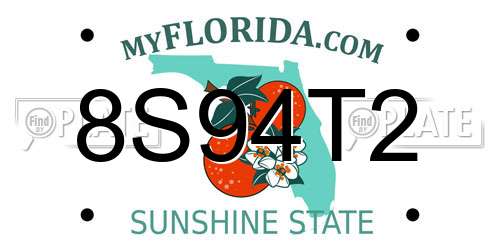 8S94T2 Florida License Plate