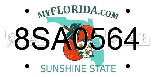8SA0564 Florida License Plate