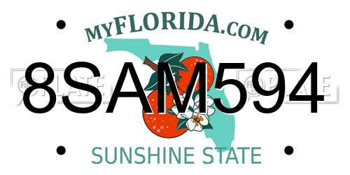 8SAM594 Florida License Plate