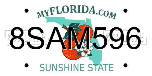 8SAM596 Florida License Plate