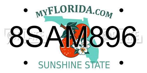 8SAM896 Florida License Plate