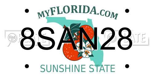 8SAN28 Florida License Plate