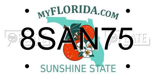 8SAN75 Florida License Plate
