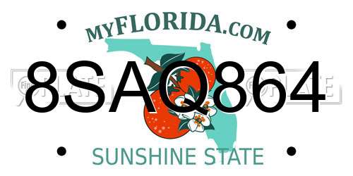 8SAQ864 Florida License Plate