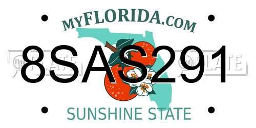 8SAS291 Florida License Plate