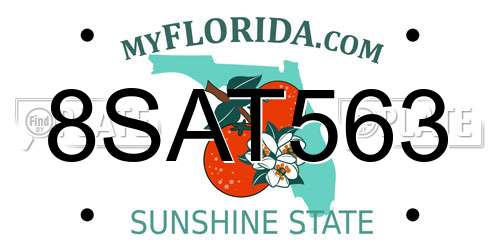 8SAT563 Florida License Plate