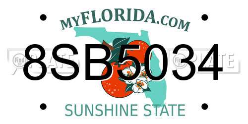 8SB5034 Florida License Plate
