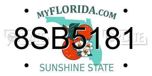 8SB5181 Florida License Plate